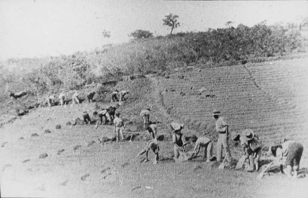 42 - Plantage mit Arbeitern