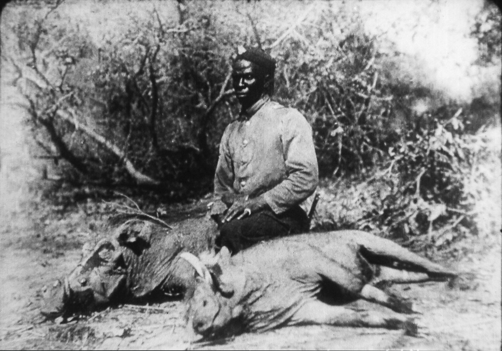 70 - Zulu mit Warzenschweinen
